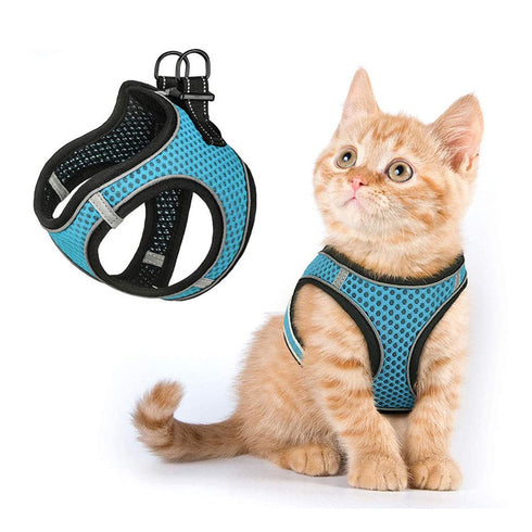 Cat Adjustable Soft Padded Oxford Mesh Vest